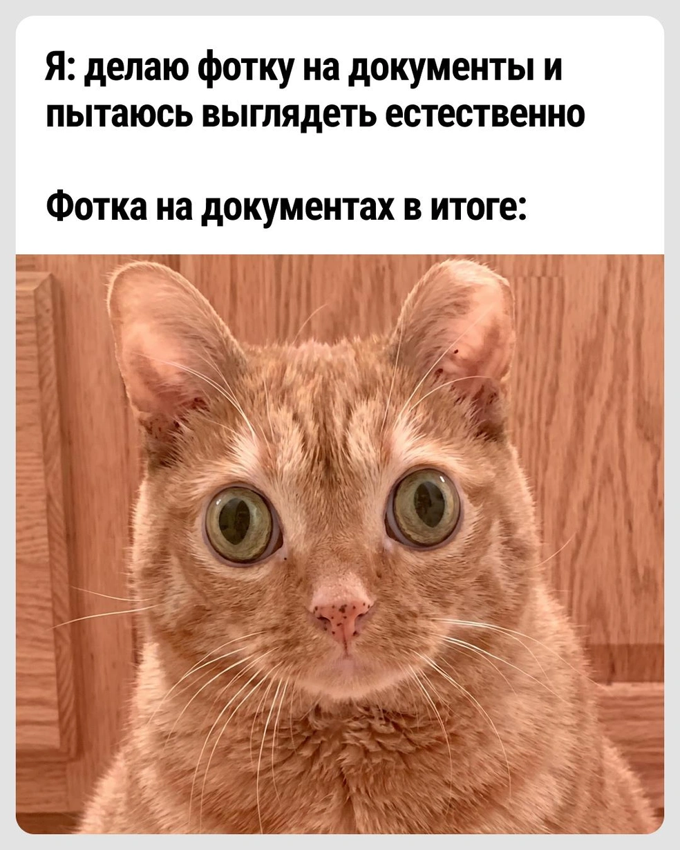 В паспорт лучше лишний раз не смотреть | Источник: Городские медиа
