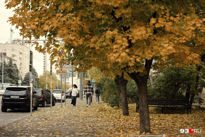 Сейчас то самое время, когда не знаешь, что одеть | Источник: Дарья Паращенко / 93.RU