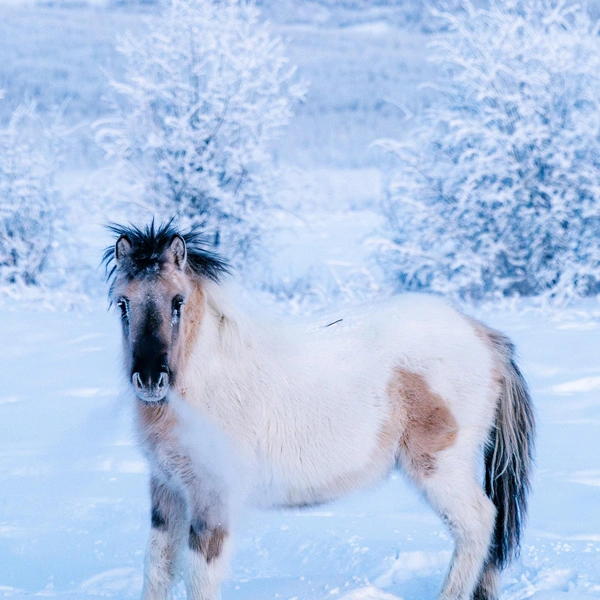 Источник: Павел Матвеев / Vk.com