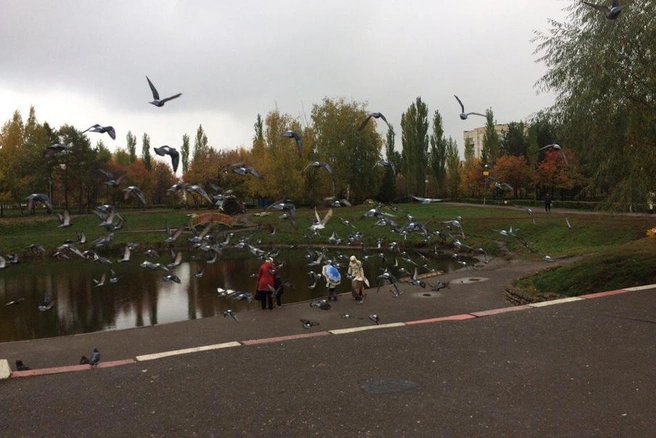 В парке Первомайском озеро никак не ограждено | ufa1.ru