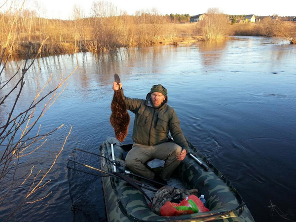 Валуев вытащил из воды бобра