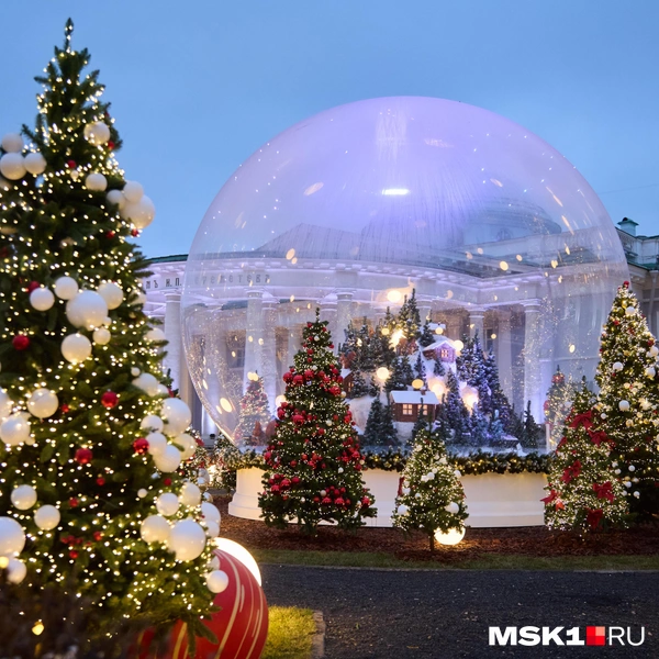 Источник: Дмитрий Толстошеев / MSK1.RU