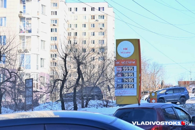 Источник: елена Буйвол / VLADIVOSTOK1.RU