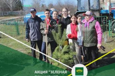 В Башкирии заложили аллеи в честь ветеранов