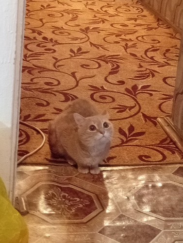 Изображение пользователя