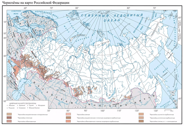 Черноземы: где и как образуются самые плодородные почвы России