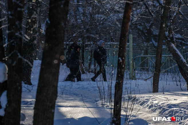 Идут на учебу под красиво падающий с дерева снег | Источник: Булат Салихов / UFA1.RU