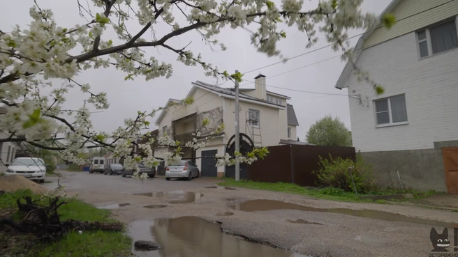 Источник: «Осторожно: Собчак» / vk.com