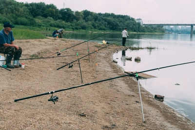 Рыба из Иртыша и озер Омска: оценка опасности