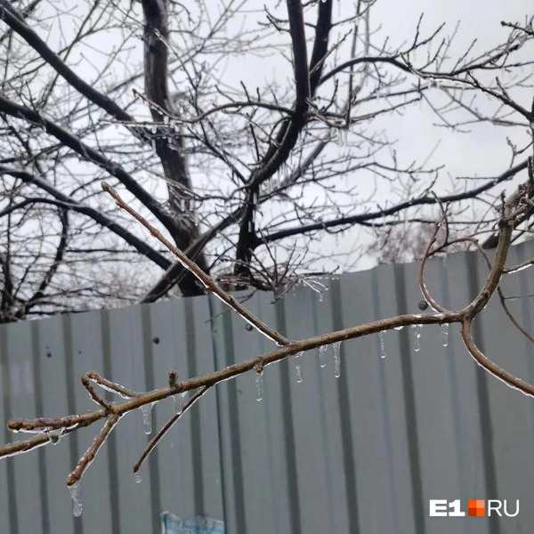 Источник: читатель E1.RU