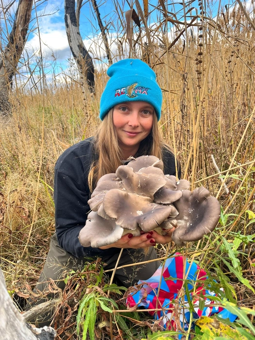 А вы давно ходили за грибами? | Источник: Валерия Фомина