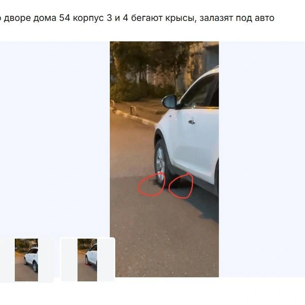 Источник: uslugi.tatarstan.ru