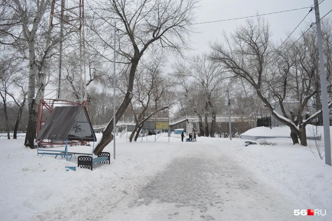 Источник: Анастасия Баринова / 56.RU