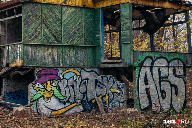 Источник: Евгений Вдовин / 161.RU