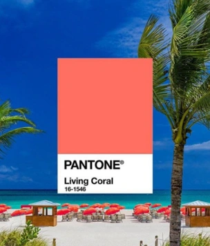 Живой коралл: цвет 2019 года по Pantone