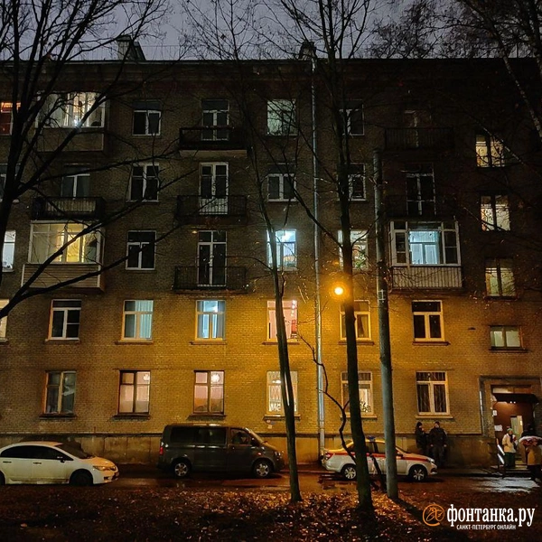 Источник: Михаил Огнев / «Фонтанка.ру»