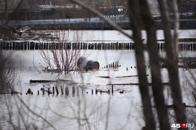 Беспилотники Зауралья ищут свалки в поймах рек