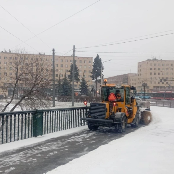 Источник: Комитет по благоустройству Санкт-Петербурга