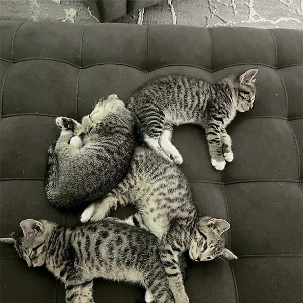 Источник: соцсеть