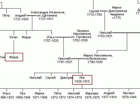 Генеалогическое древо рода Толстых. | Источник: ru.wikipedia.org