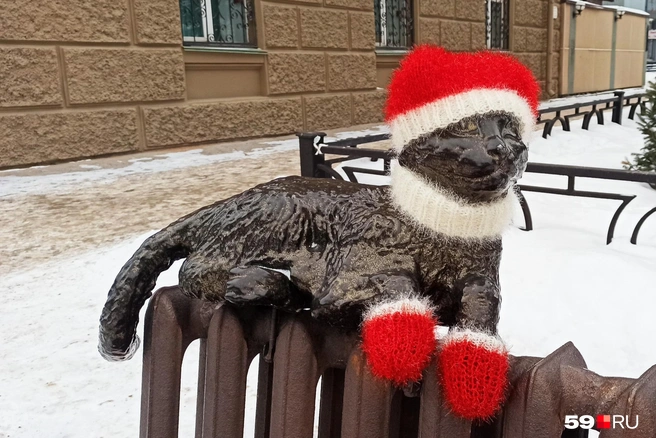 Котика опять приодели, на этот раз по-новогоднему | Источник: Мария Квашнина