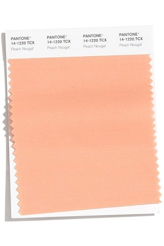 PANTONE 14-1220