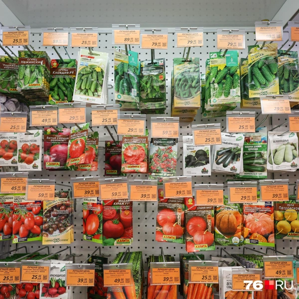 Семена собраны по категориям | Источник: Артем Бауман / 76.RU