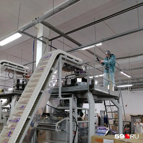 Источник: архив редакции 59.RU