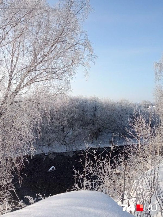 Даже совсем близко от Челябинска, в Каштакском бору | Источник: читатель 74.RU