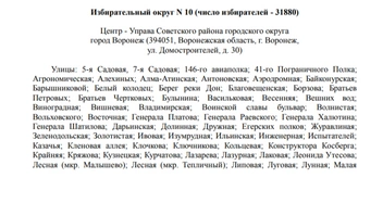 Источник: избирательная комиссия Воронежской области / voronezh.izbirkom.ru