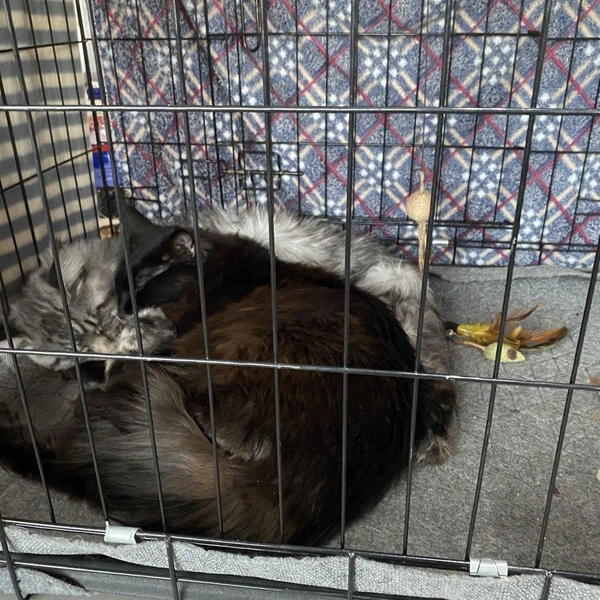 Источник: Ирина Господаренко / NGS22.RU