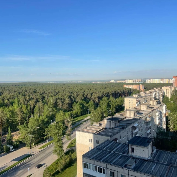 Слева на фото город будто постепенно утопает в лесу | Источник: предоставлено Еленой