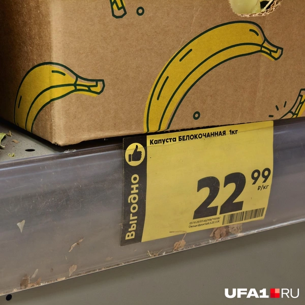 Источник: Булат Салихов / UFA1.RU