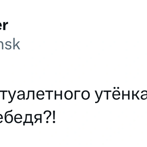 Источник: X (Twitter)