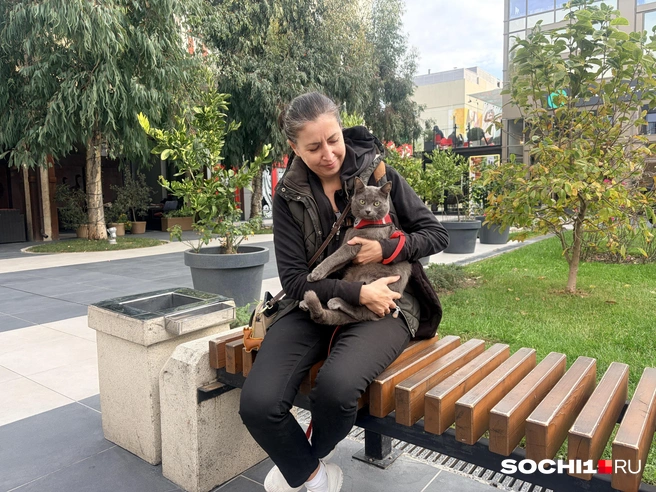 Питомцев тоже нужно прогулять | Источник: Анна Грицевич / SOCHI1.RU