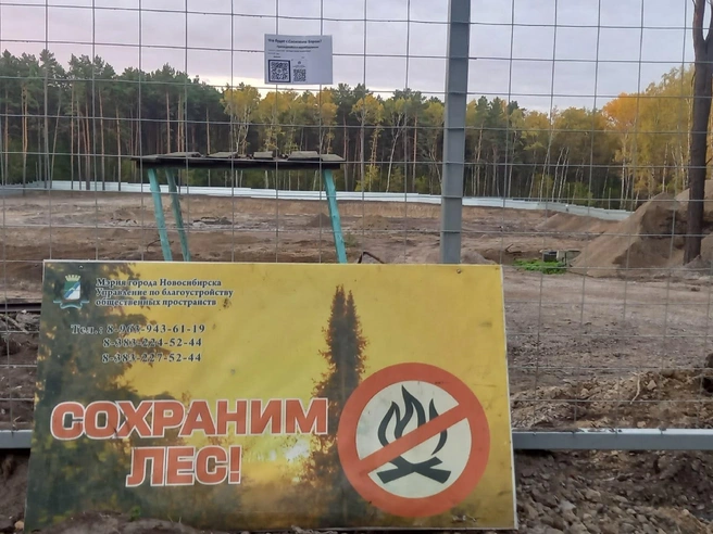 Сейчас строительная площадка в парке «Сосновый бор» полностью освобождена от строительной техники | Источник: предоставлено Денисом Катаевым
