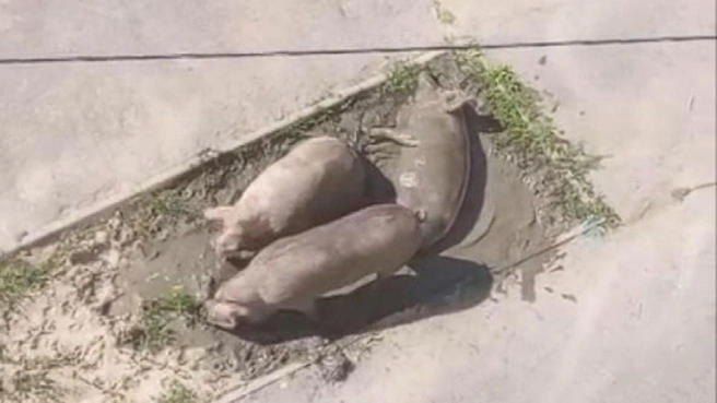 И пусть весь мир подождет | Источник: читатели V1.RU