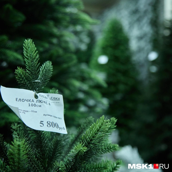 Источник: Дмитрий Толстошеев / MSK1.RU