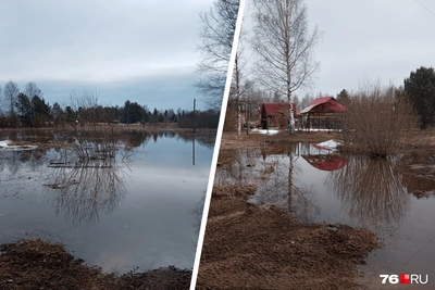 Деревню Строганово затопило из-за разлива реки Могза