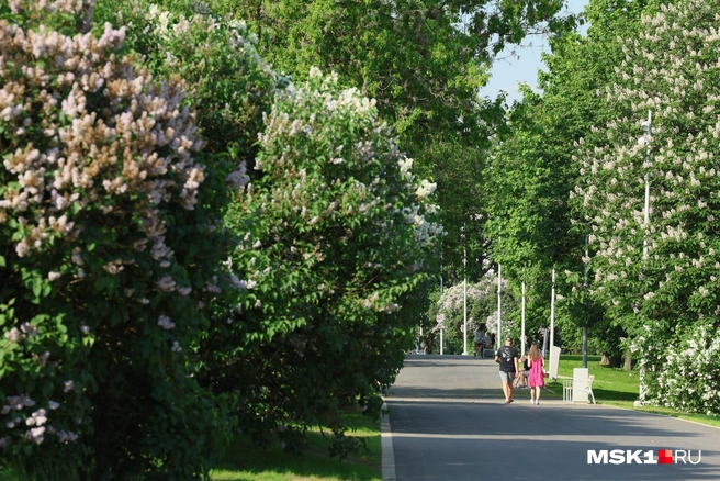 В середине недели в Москве было жарче, чем на юге страны и даже в Турции | Источник: Артем Устюжанин / MSK1.RU