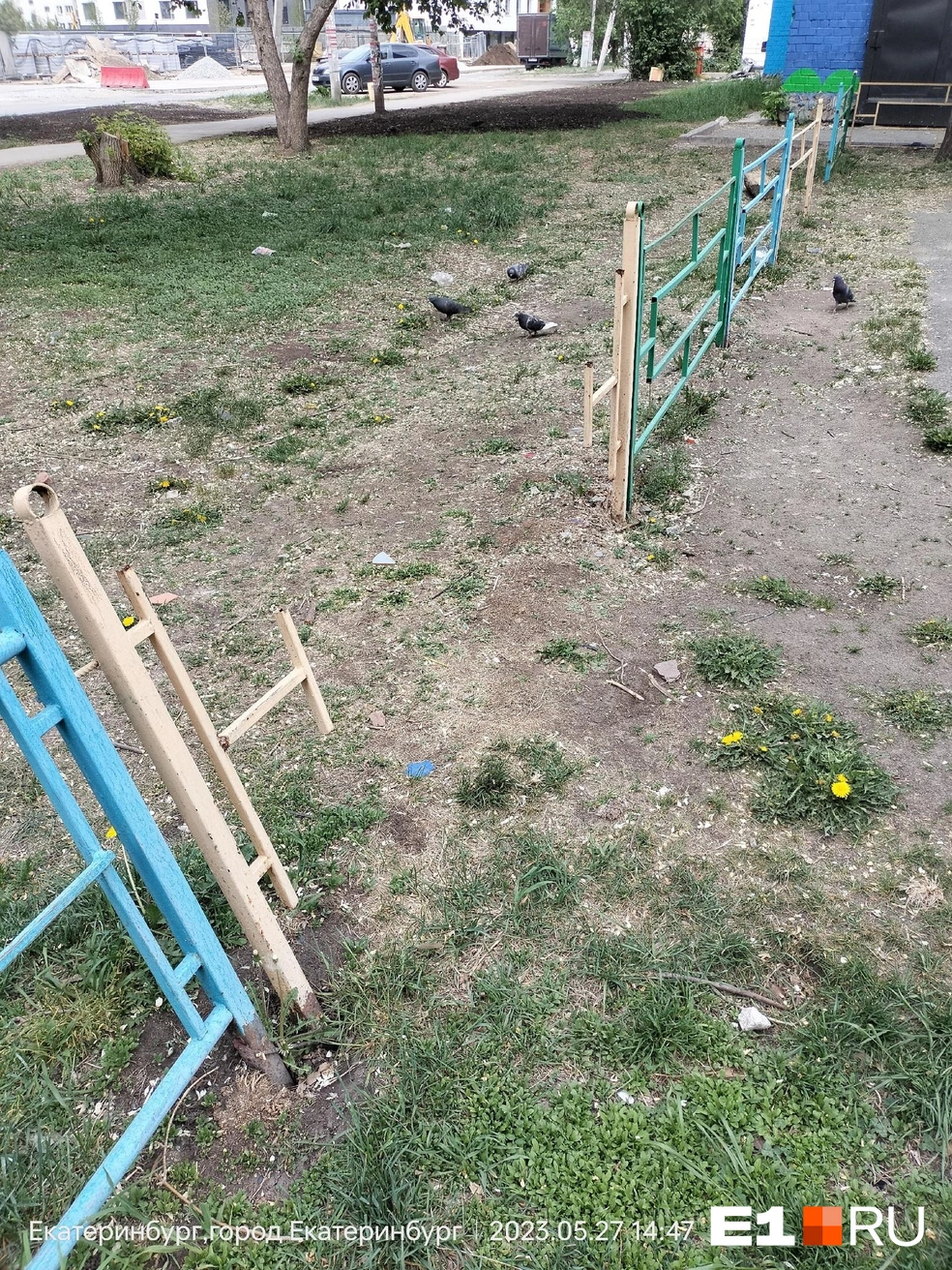 Это ужас | Источник: Алена Пашкина