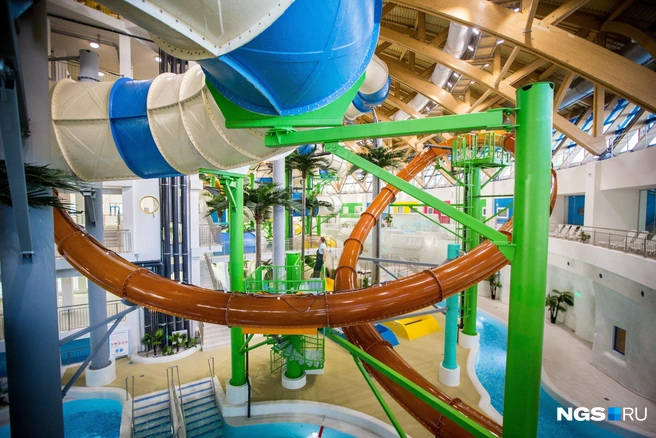 Арест Андрея Мельникова — продолжение скандала вокруг новосибирского аквапарка | Источник: Александр Ощепков / NGS.RU