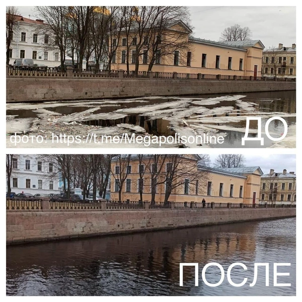 Источник: комитет по природопользованию Петербурга