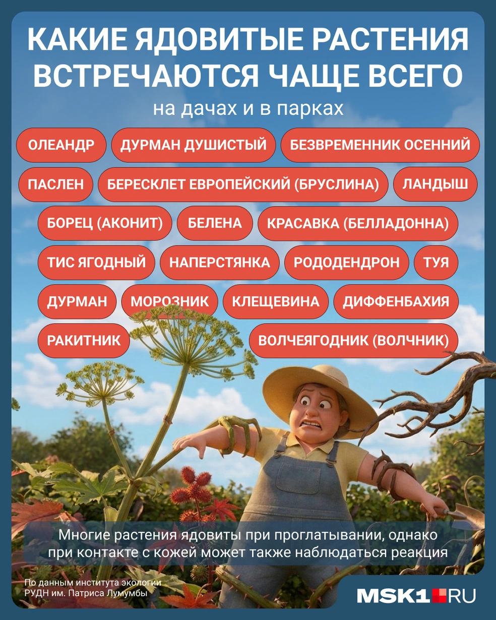Опасные растения | Источник: Мария Романова / Городские медиа