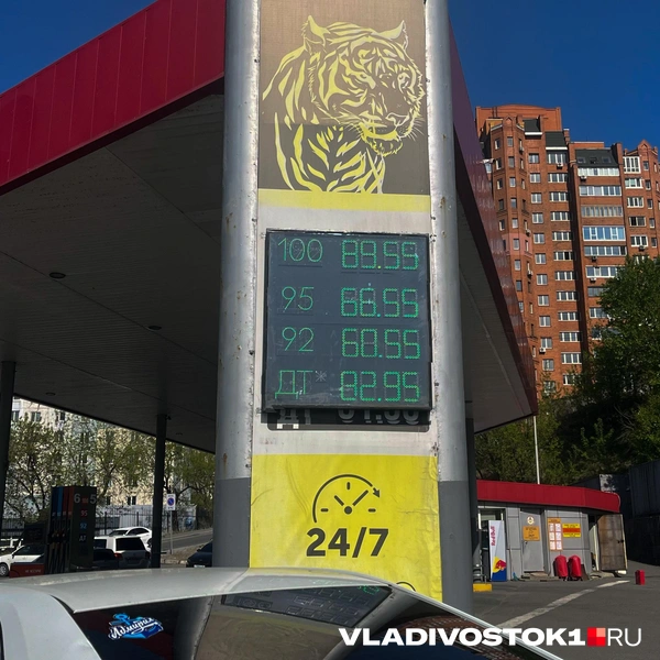 Источник: Елена Буйвол / VLADIVOSTOK1.RU