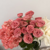 userpic__HopefulEqual
