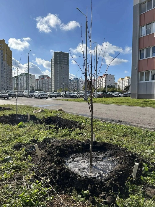 Источник: lipetskcity.ru