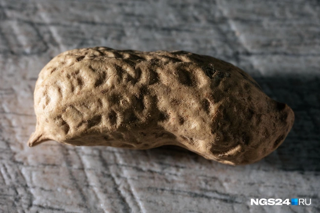 Арахис называют хорошим источником белка и жиров | Источник: Максим Серков / NGS42.RU