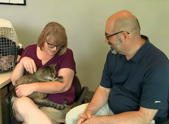Кот сбежал из дома и вернулся к хозяйке 11 лет спустя