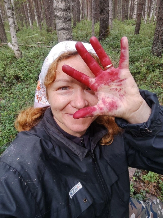 Источник: Солнечные зайчики / T.me